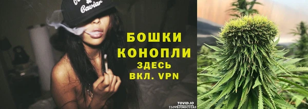 Альфа ПВП Щигры