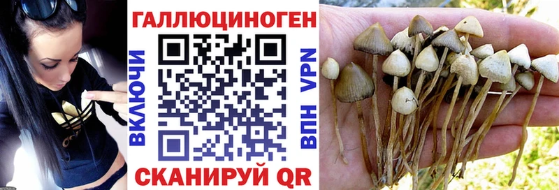 Купить закладки  Вытегра  Псилоцибиновые грибы Psilocybine cubensis 
